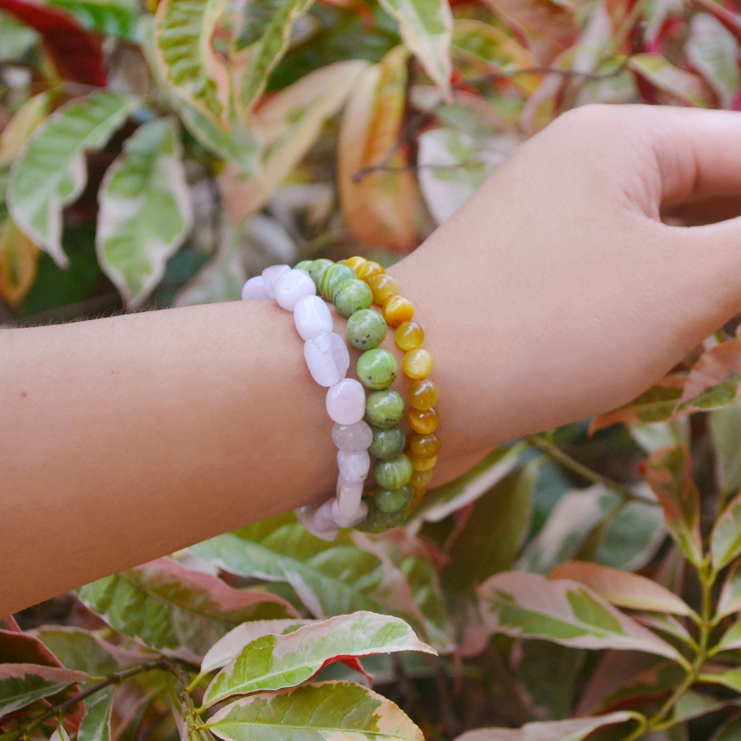 Nephrite Jade Stretch Bracelet 8mm